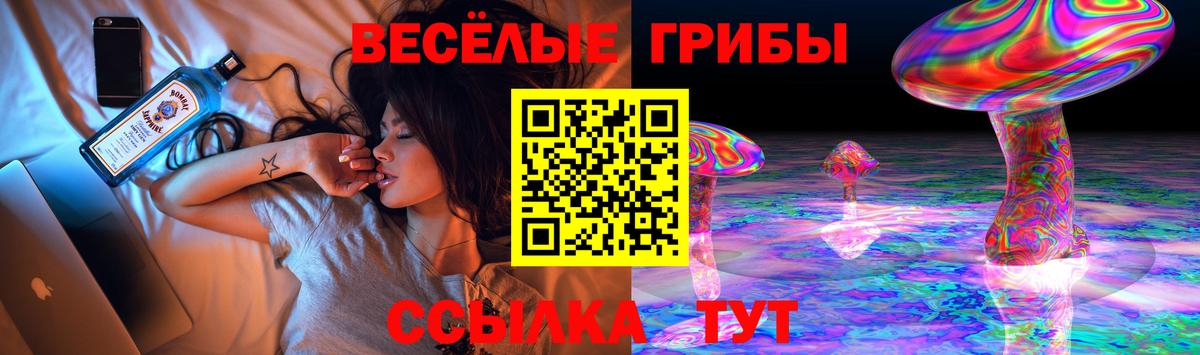 Псилоцибиновые грибы Magic Shrooms Ефремов